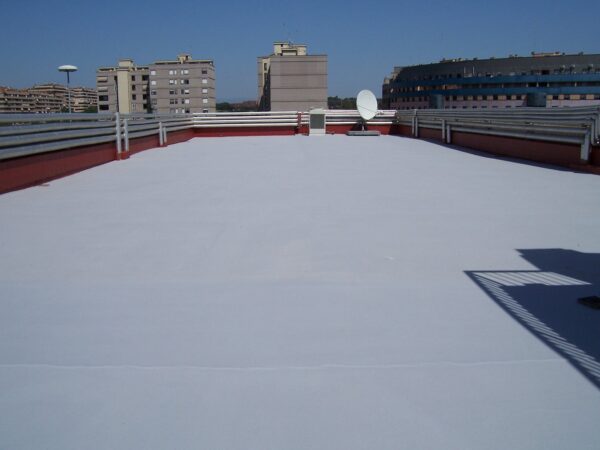 Guaina Liquida